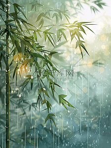 户外雨季河面上树枝树叶的背景