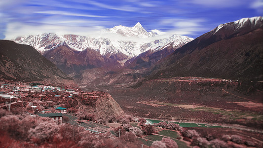 巴布摄影照片_西藏林芝雅鲁藏布大峡谷中的桃花和南迦巴瓦峰