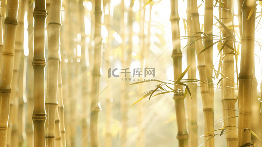 竹子风景背景图片_中式风格阳光绿色竹子竹林的背景