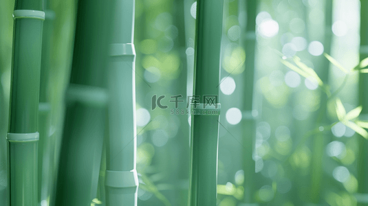 aigc竹子背景图片_绿色户外光芒森林竹林竹子的背景