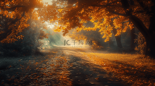 秋季阳光照射下的森林公路背景