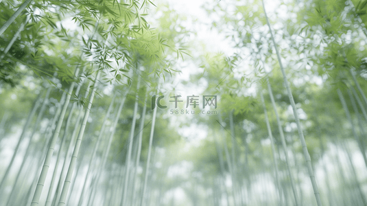 竹子竹叶背景图片_绿色户外光芒森林竹林竹子的背景