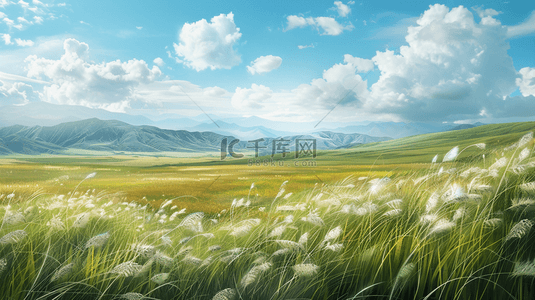 线描的花草背景图片_夏季清爽户外自然风景草坪草地的背景