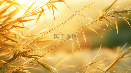 树叶……背景图片_户外阳光照射下绿色麦苗树叶的背景