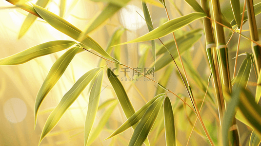 画小麦苗背景图片_户外阳光照射下绿色麦苗树叶的背景