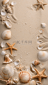海岸沙滩海星背景图片_夏日海滩海星贝壳沙滩纹理背景
