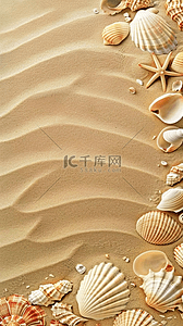 海星贝壳沙滩背景图片_夏日海滩海星贝壳沙滩纹理背景