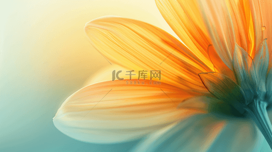 透明小球背景图片_清新夏日抽象透明玻璃质感花瓣纹理设计