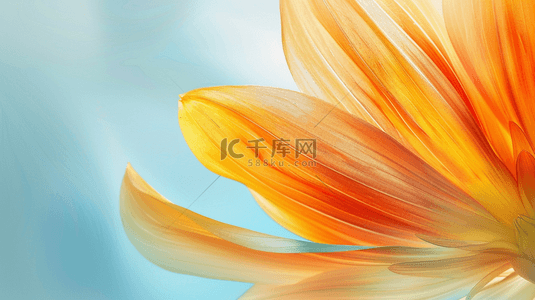 清新夏日抽象透明玻璃质感花瓣纹理设计图