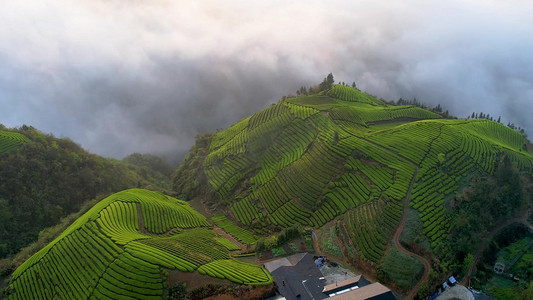 绿色茶山摄影照片_震撼茶山山峰云海自然风光航拍实拍