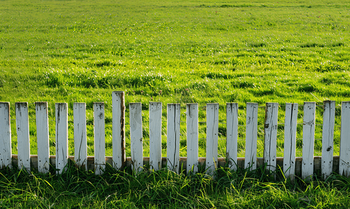 花园的栅栏背景摄影照片_草地上的栅栏丝带领土围栏