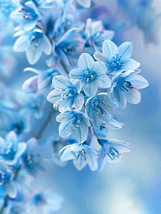 精致的蓝铃花花卉背景