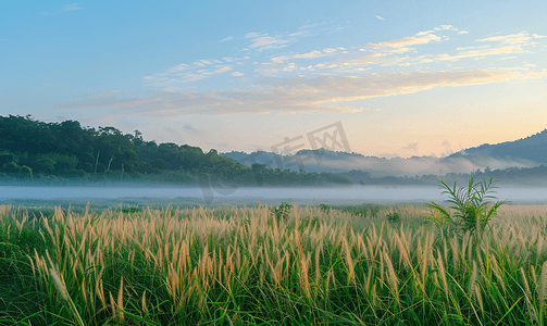 行人更在春山外摄影照片_清晨草地上雾气弥漫泰国春蓬府沿途的自然风光