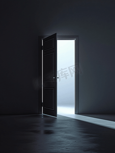 门打开了里面是一个黑暗的房间光线进来了