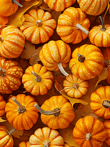 亮橙色南瓜果实的秋季背景
