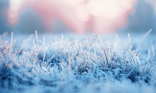 冰冻背景摄影照片_模糊的冰冻草冬季抽象背景景观