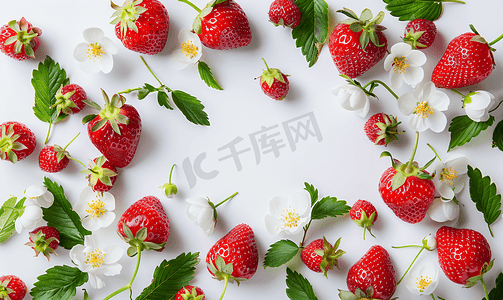带浆果和草莓花的框架