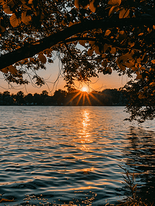 水中夕阳与树影的轮廓