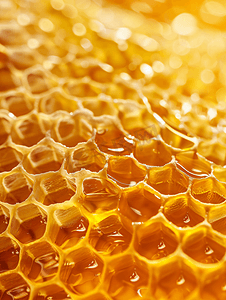 健康几何摄影照片_蜂巢蜂蜜选择性焦点