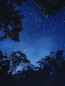 蓝色星空月亮背景摄影照片_星空与月亮和丛林的轮廓