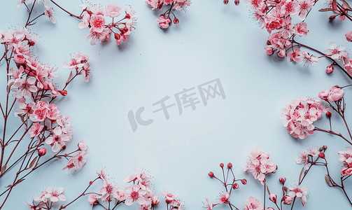 春天彩色花卉摄影照片_圆形的花框