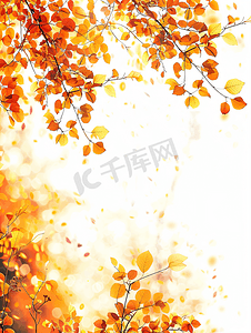 文艺风字体摄影照片_秋叶金色的秋天