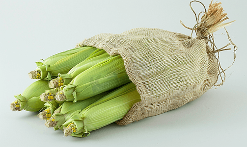 绿色收获玉米棒袋