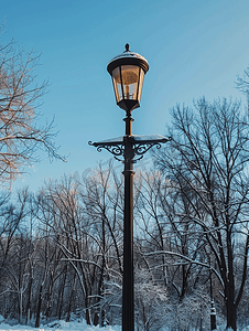 冬季公园的灯柱在树木和天空映衬下的复古黑色路灯