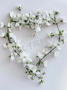 心形的花瓣摄影照片_温柔的心形花环与白色的花朵