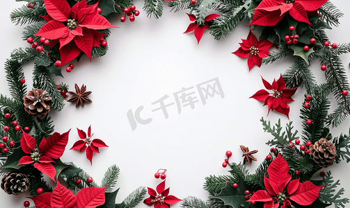 手绘边框花环摄影照片_圣诞花圆框带麦芽酒树枝和一品红