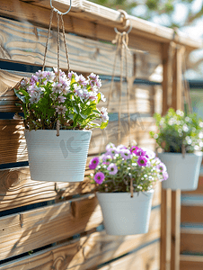 夏季植物装饰摄影照片_木板上悬挂植物的花盆花园装饰