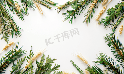 鲜花框架摄影照片_圣诞绿色植物和小麦框架