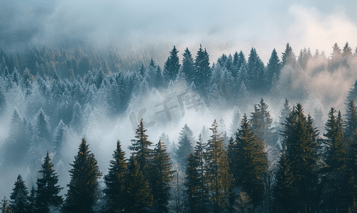 绿色大气摄影照片_景观森林在大气寒冷的天气里冬季雾气笼罩着山脉