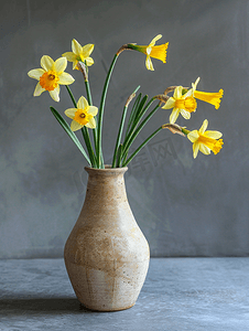 灰色背景中盛开的黄水仙或水仙花粘土花瓶