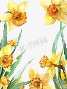 标题框gufeng摄影照片_春天水彩框架与水仙花花