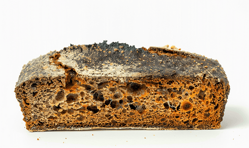 食品变质摄影照片_白色背景黑麦面包上发霉的不可食用的变质食品霉菌
