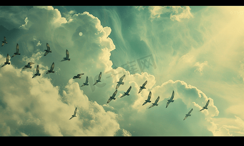 一群鸟在阴云密布的天空中向南飞翔
