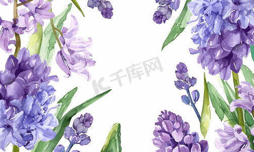 狗年吉祥紫色摄影照片_春天水彩框架与风信子花