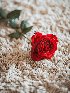 小玫瑰摄影照片_地毯上的人造玫瑰