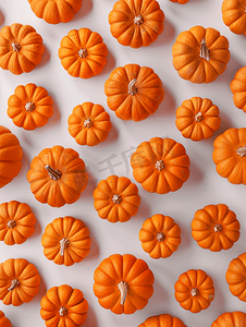 秋天和万圣节背景小装饰橙色南瓜框架