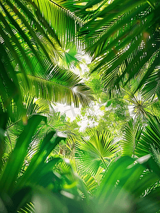 装饰图案叶子绿色摄影照片_热带棕榈树的底部景观雨林的绿色叶子