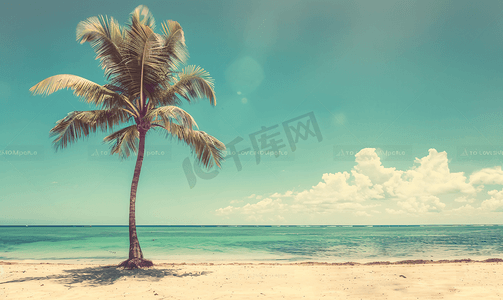 复古阳光摄影照片_夏日蓝天衬托下海滩上的复古棕榈树色调照片