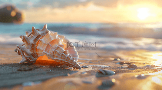 夏日海景沙滩上的海水海螺背景素材