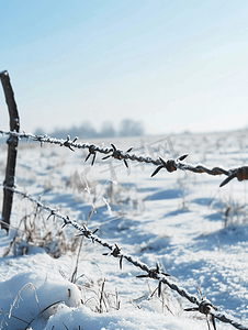 农场冬天摄影照片_冬天的铁丝网