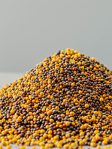 普生摄影照片_灰色上成堆的黄色和棕色芥菜籽