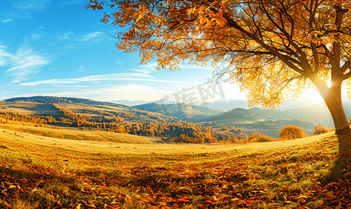 欧洲金色秋景的美丽全景