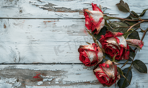 红色复古背景摄影照片_淡木背景中枯萎的红玫瑰花