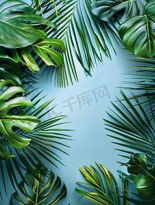 创意纹理背景摄影照片_蓝灰色纸张背景上的热带棕榈叶