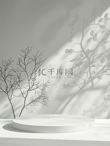 产品展台背景图背景图片_树影3D白色产品展台背景图