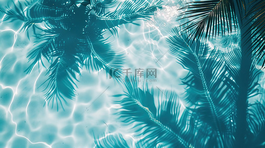 透明蓝色清澈的水波棕榈叶背景